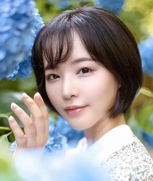 冒险纪实电影雪线之上高清在线观看